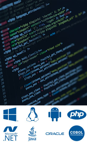 Desarrollo<br>para Corrección de errores
