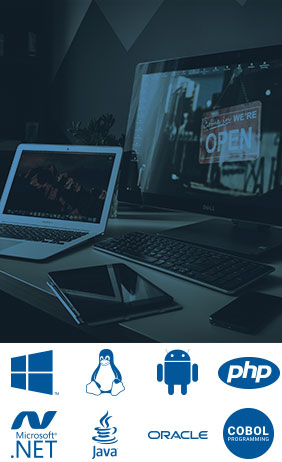 Desarrollo<br>componentes para integración